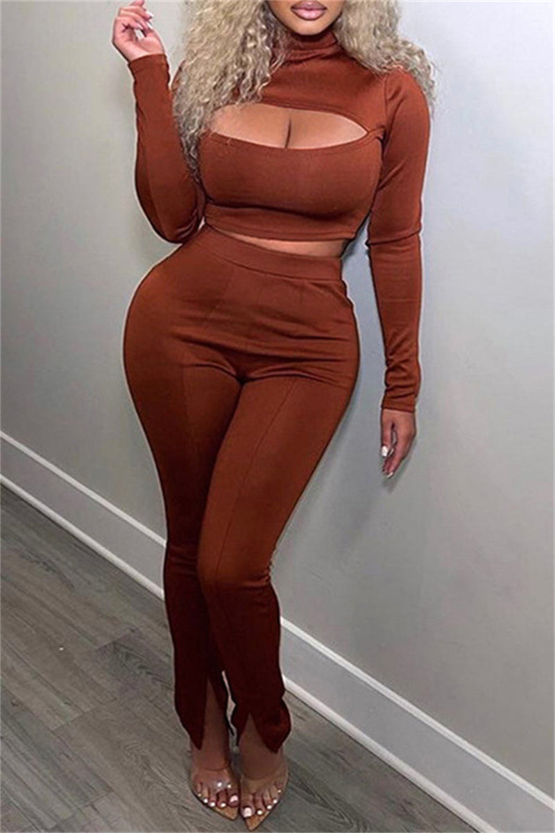 Sexy Casual Solid Bandage Turtleneck Long Sleeve Two Pieces