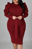 Fashion Casual Solid With Belt O Neck Long Sleeve Plus Size Dresses