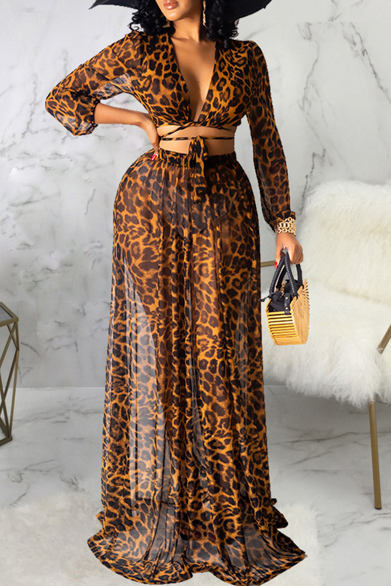 Sexy Leopard Split Joint V Neck Long Sleeve Two Pieces