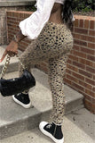 Casual Leopard Patchwork Basic Regular High Waist Trousers