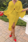 Fashion Solid Hollowed Out Fold Asymmetrical V Neck Long Sleeve Dresses