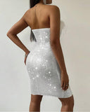 Feather Detail Allover Sequin Party Dress