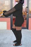 Casual Mesh O Neck Long Sleeve Two Pieces