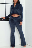 Casual Daily Solid Zipper Zipper Collar Long Sleeve Two Pieces