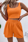 Casual Daily Living Solid Solid Color U Neck Sleeveless Two Pieces